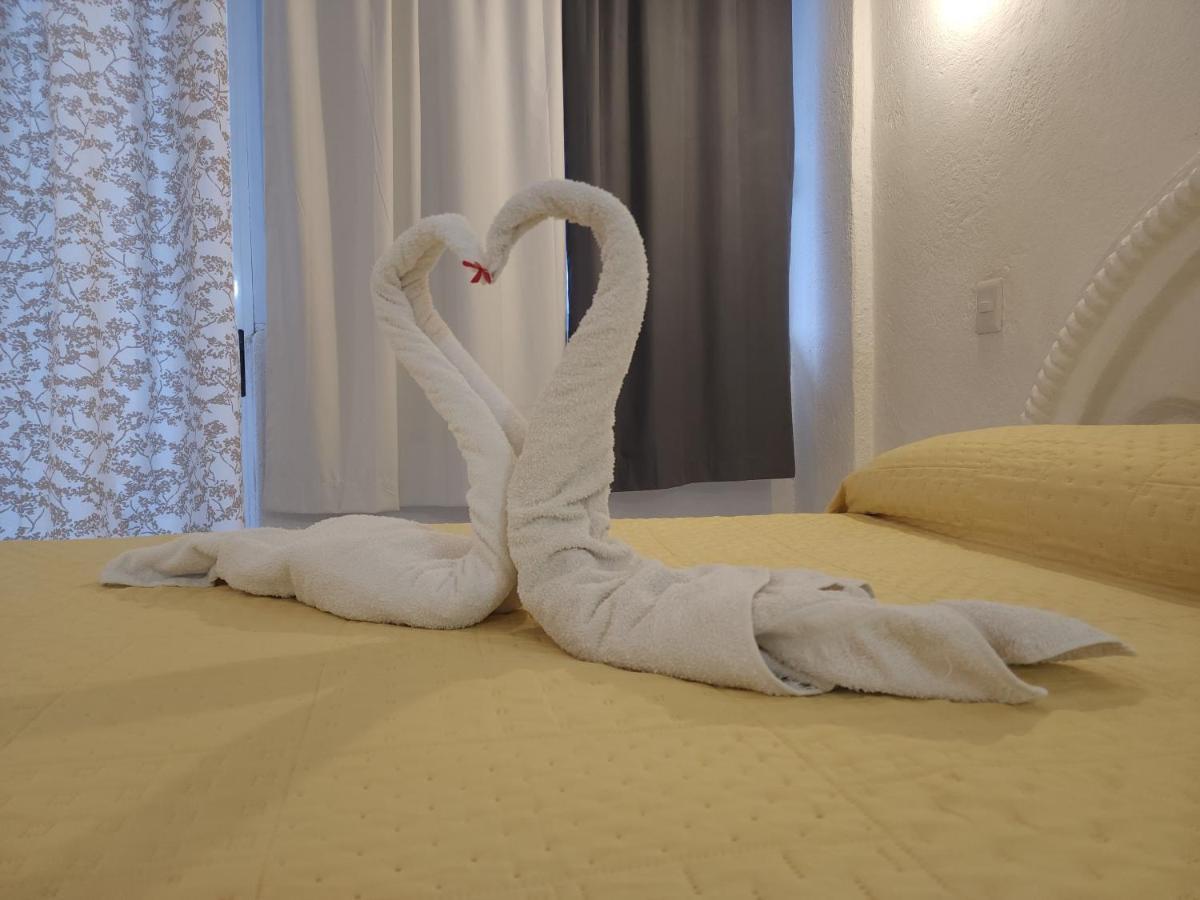 Lovely Studio Apartment With Balcony Ac & Wi-Fi, Minutes From Downtown! Сиуатанехо Экстерьер фото